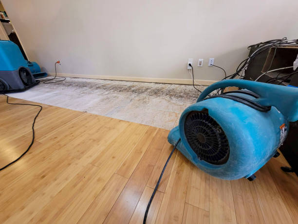 Reliable Basement Flood Cleanup contractor in Lincoln, MA by Hirex Water Damage