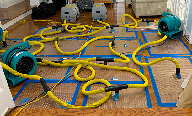 Professional Basement Flood Cleanup technician working in Lincoln, MA